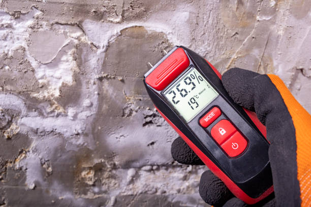 Best Kitchen Mold Remediation in Bourbonnais, IL