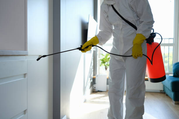 Best Industrial Mold Remediation in Bourbonnais, IL