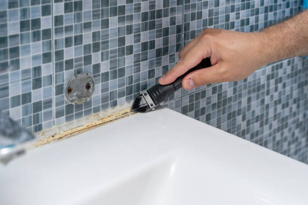 Best Residential Mold Remediation in Bourbonnais, IL